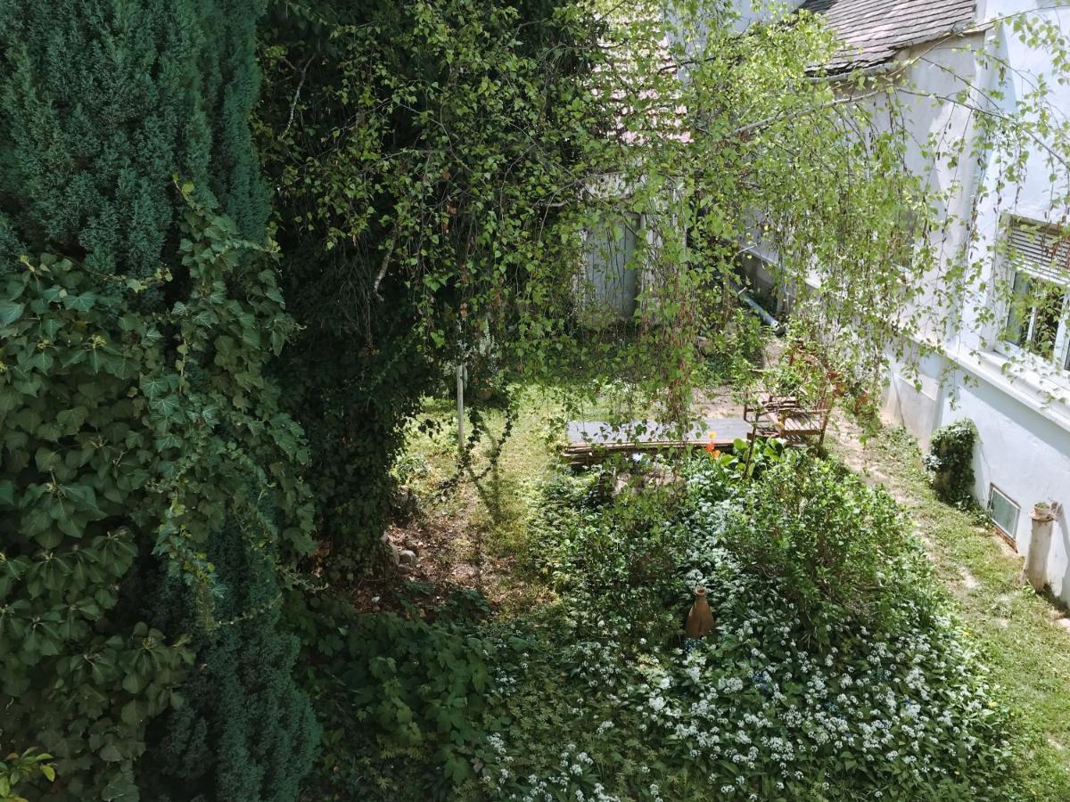 Ferienwohnung in der Fußgängerzone Gartenblick - Studio Apartment Eisenstadt Exterior foto